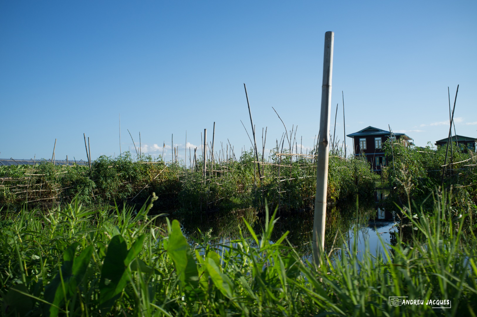 birmanie-210 (Grand).jpg